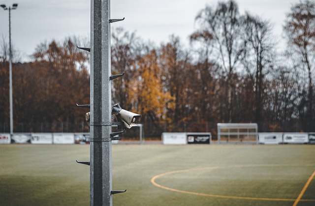 內的許多同 內的許多同