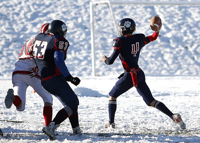 用户的内容 用户的内容