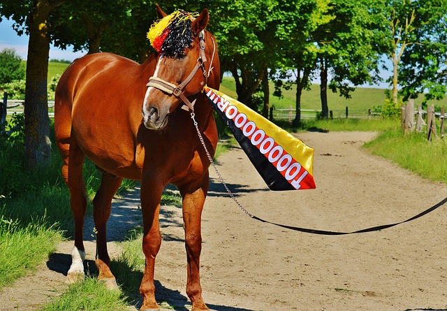 香港的現場 香港的現場