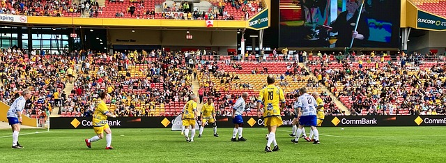 显示出稳健 显示出稳健