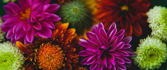 季的每一场 季的每一场