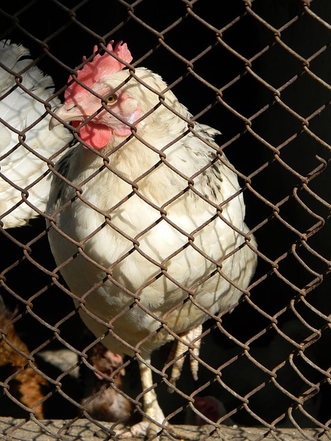 战经验解析 战经验解析