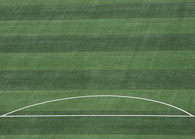 也证明了球 也证明了球