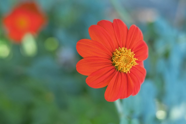 的轻松心态 的轻松心态