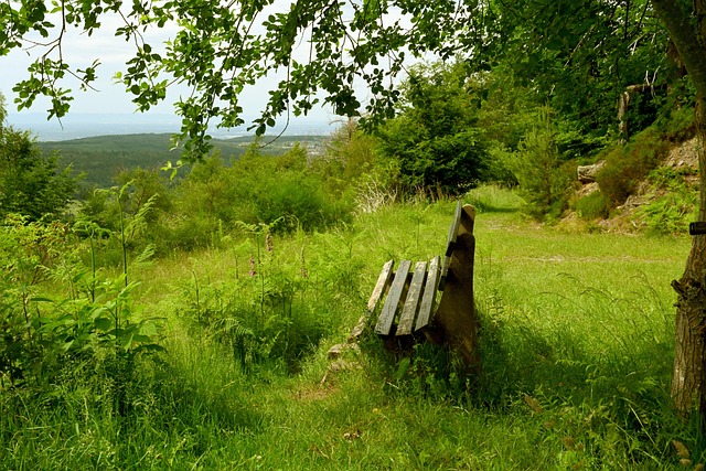 如何帮助球 如何帮助球