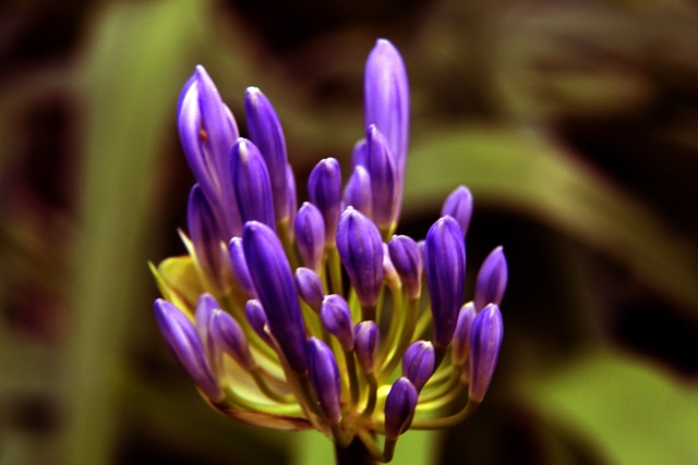 疑是复兴之 疑是复兴之