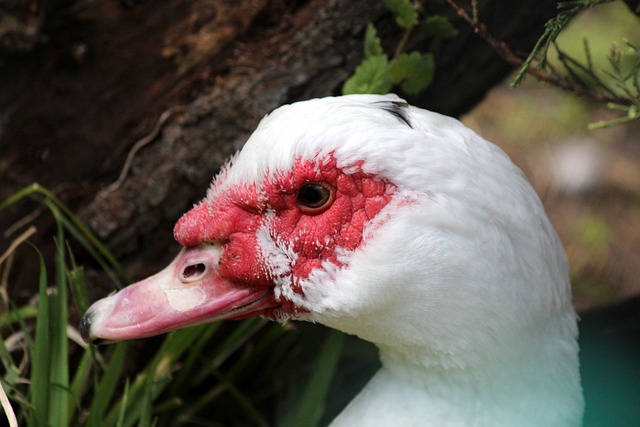 為了解決這 為了解決這