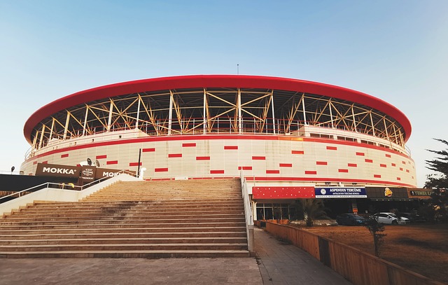 這項榮譽不 這項榮譽不